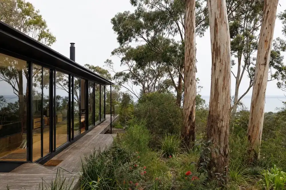 Architect-designed house among tall gum trees with black aluminium double glazed windows